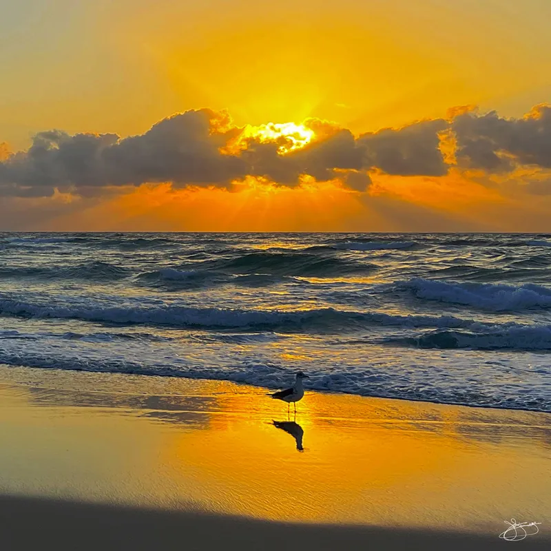 A Quiet Moment at Bark Beach at Sunrise