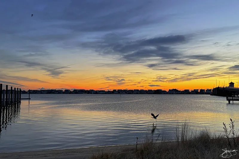 An Egret awakens With the Dawn