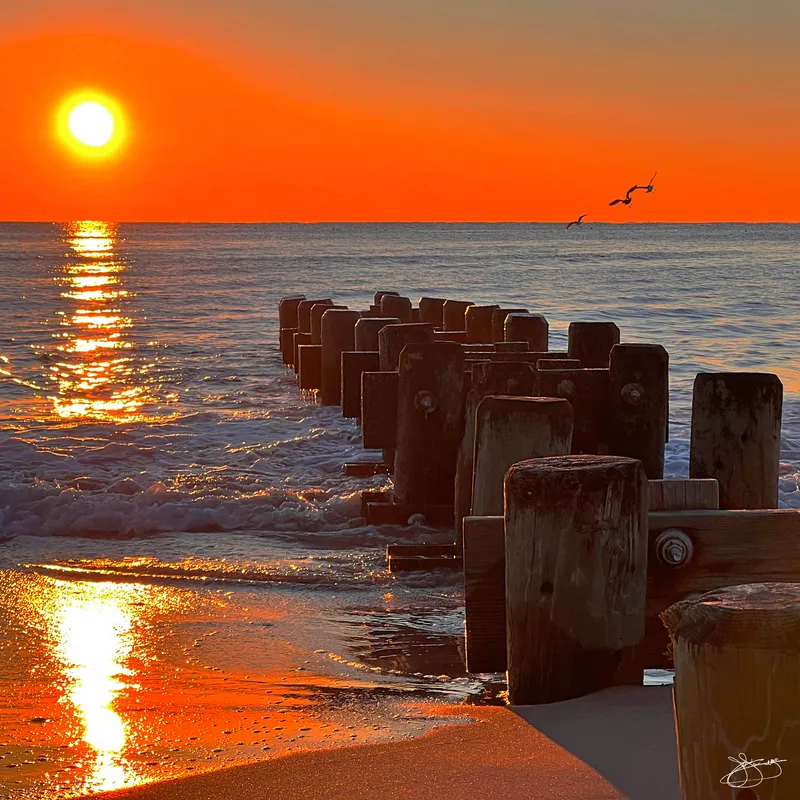 Cloudless Beach Sunrise