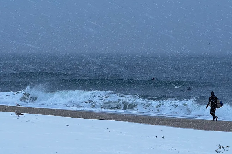 Snowy Surf