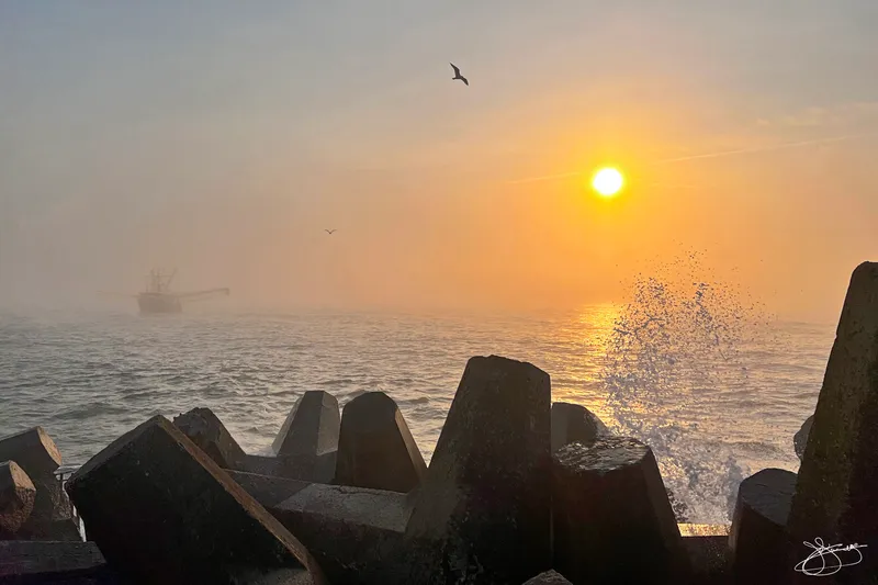 Sun Burning off the morning Fog